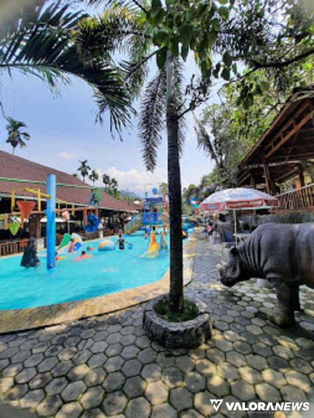Ini 7 Hotel dengan Kolam Renang di Padang, No 6 Dilengkapi Water Park dan Kebun Binatang...