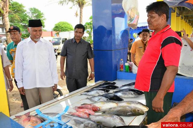 Nyari Ikan, Ayo ke Taman Ikan Segar Puruih Saja