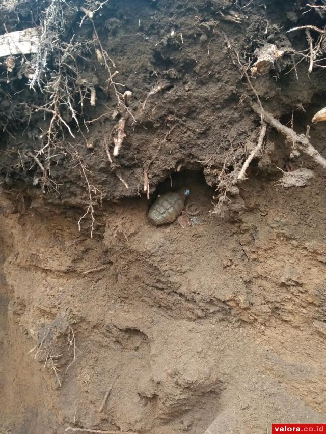 Granat Nenas Peninggalan Belanda Ditemukan di Jorong Leter W