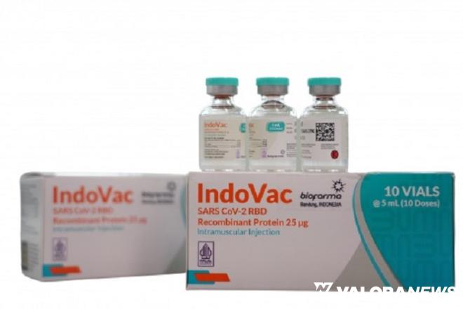 Vaksin Produk Bio Farma Kembali Kantongi EUA BPOM: IndoVac Siap digunakan jadi Booster...