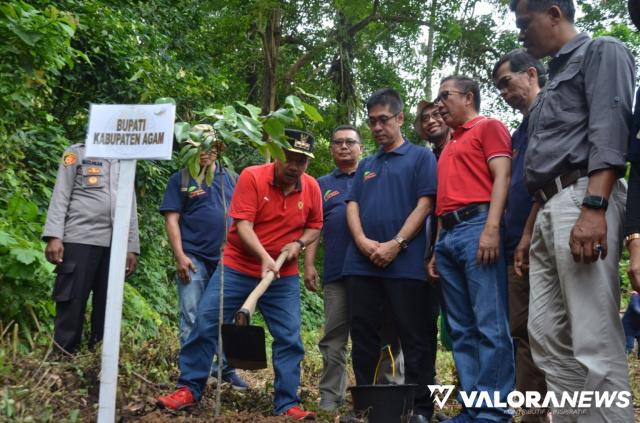 Kementrian LHK Tanam Pohon Buah-buahan di Nagari Maninjau, Ini Targetnya