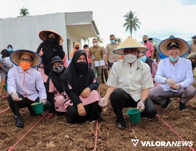 Mahyeldi, Riza Falepi dan Irsyad Safar Salurkan Bantuan Produk Holtikultura di Payakumbuh
