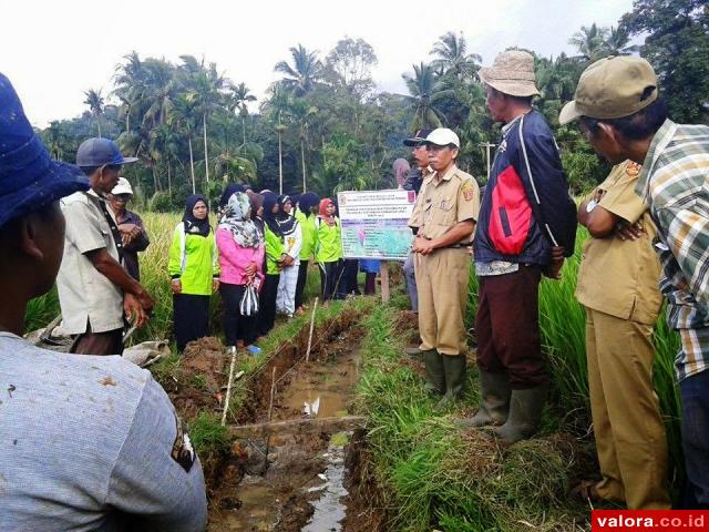 Pusat Gelontorkan Rp3,7 Miliar untuk Perbaikan Irigasi di Agam