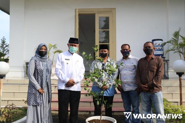 Gubernur Sumbar Apresiasi Program Sejuta Tabulampot untuk Masjid se-Sumatera Barat