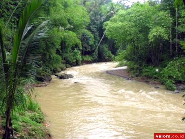 Cegah Banjir, BPBD-Dishutbun Tinjau Ulang Daerah Rawan