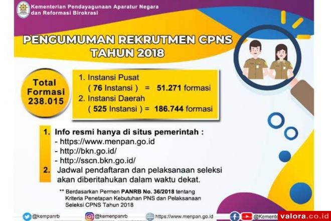 Rekruitmen CPNS 2018 Gunakan Sistem CAT, Ini Formasinya