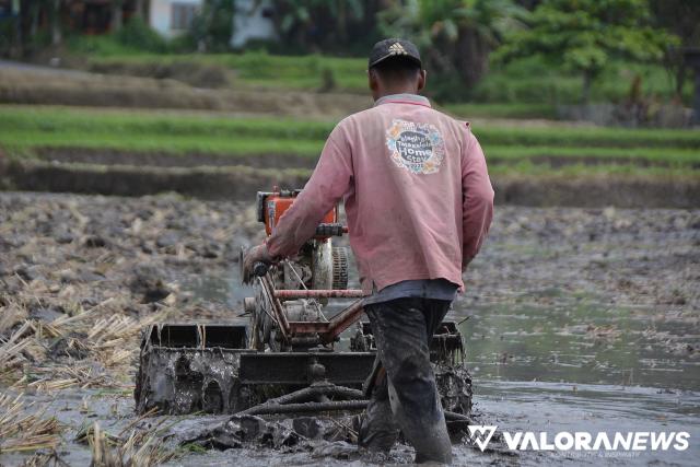 Kebijakan PPKM Pengaruhi Fluktuasi Harga Produk Pertanian