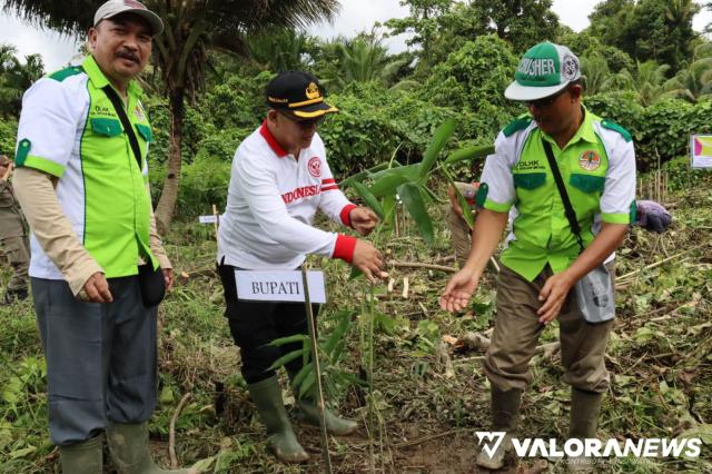 LPPM Universitas Udayana dan Pemkab Mentawai Tanam 25 Ribu Bambu Betung di Dusun Mangorut