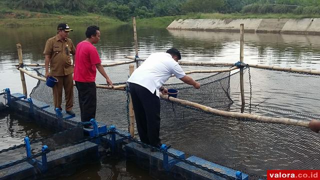 Bank Nagari Dukung Dharmasraya jadi Sentra Perikanan