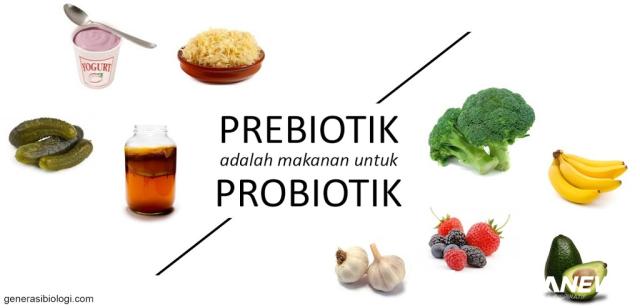 Jaga Usus, Rasulullah Rutin Konsumsi Probiotik dan Prebiotik, dr Zaidul Akbar Ikut...