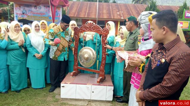 Irfendi Arbi Canangkan Bulan Bakti Dasawisma dan BBGRM