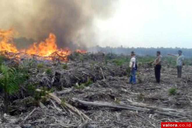 Api Berkobar di Tujuh Titik di Areal PT Sapta Pessel