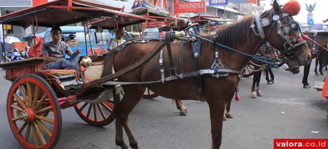 Bendi di Padang Disiapkan untuk Layani Wisatawan