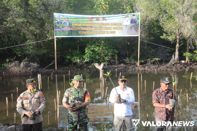 TMMD 116 Mentawai; 100 Pohon Mangrove Ditanam di TPI Desa Tuapejat