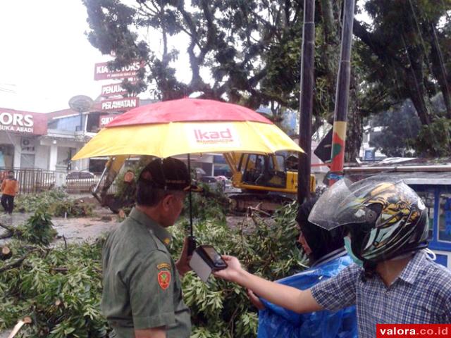 Badai Tumbangkan Pohon, Timpa 3 Mobil dan Motor