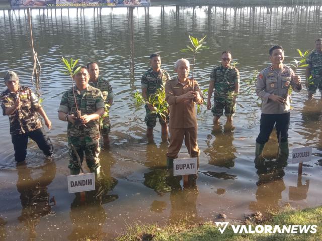 TANAM MANGROVE NASIONAL: Pemkab,TNI, dan Polri Tanam 1.000 Batang Mangrove di Pessel