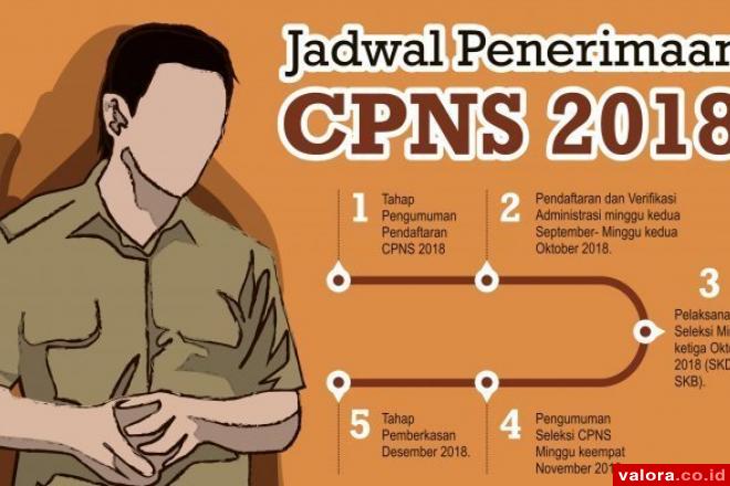 4.230 Pelamar Masukan Berkas di Seleksi CPNS Solsel