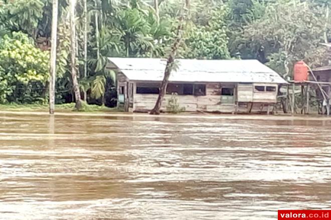 Banjir Limapuluh Kota, 39 Warga Diungsikan