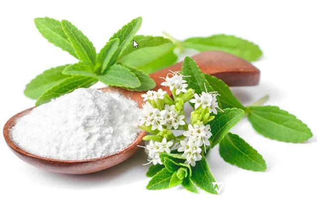 Manisnya 300 Kali Gula, Ini 5 Manfaat Konsumsi Stevia Bagi Kesehatan, Cermati juga...