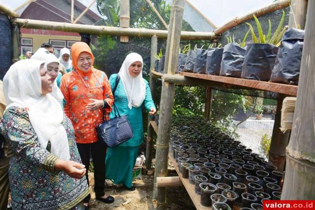 Kelurahan Ngalau Juara III Nasional Lomba Toga