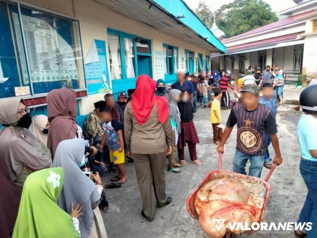 Satpol PP Padang Panjang Pantau Penyembelihan Hewan Kurban