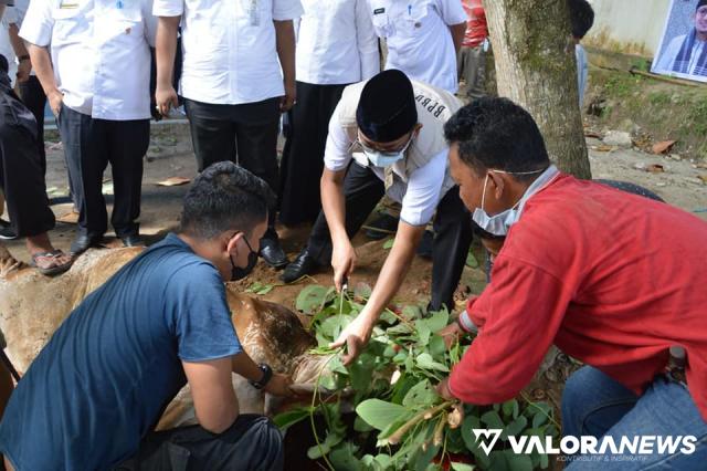 Hendri Septa Apresiasi Semangat Berqurban ASN Pemko Padang