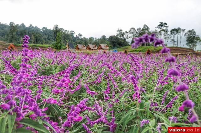 Pusat Sediakan 4,2 Miliar untuk Camintoran dan Hot Waterboom