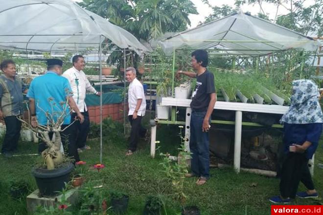 Peluang Budidaya Tanaman Hidroponik di Pasar Raya Dijajaki, Joni: Bakal Jadi Pusat...