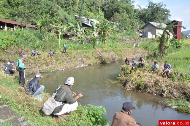 Ratusan Pemancing Berburu 'Ikan Niat" di Koto Katik