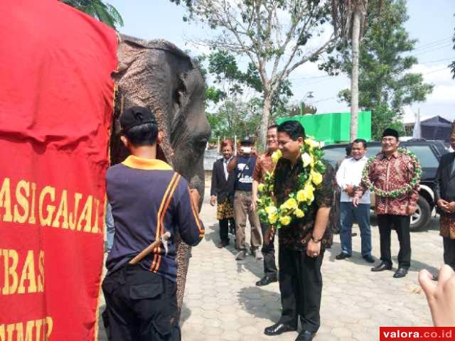 Penggiat Medsos Tak Inginkan Kampanye Hitam