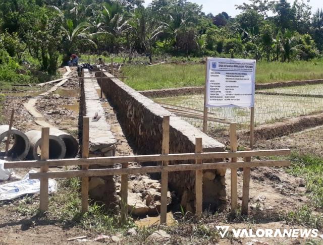 DKPP Mentawai Bangun Jaringan Irigasi Usaha Tani di Tiga Desa
