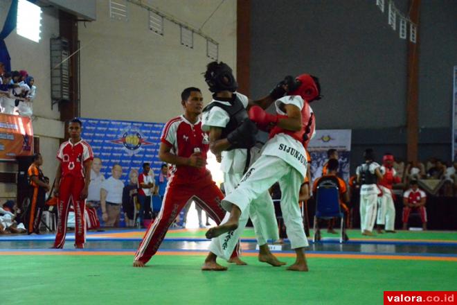 Petarung Agam Tumbangkan Lawan di Penyisihan dengan Mudah