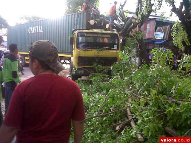 Truk Kontainer Tersangkut di Pohon Pelindung