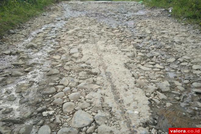 Akses Jalan di Dua Nagari Ancam Keselamatan Warga