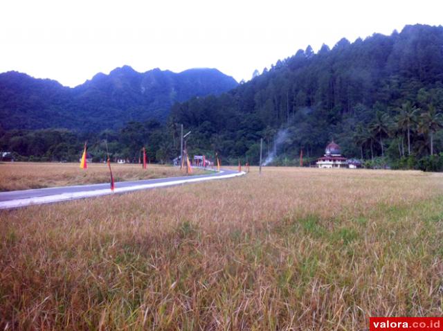 Agam Usulkan Hutan Desa 17.010 H