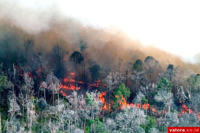 Sumatera Waspada Kabut Asap, Titik Api Meningkat