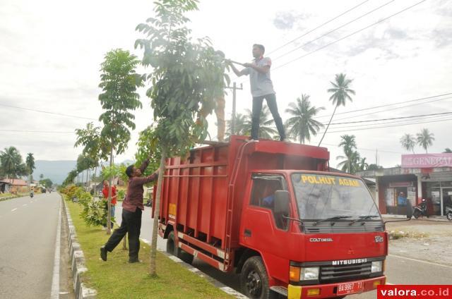 Dishutbun Agam Pangkas Pohon Pelindung