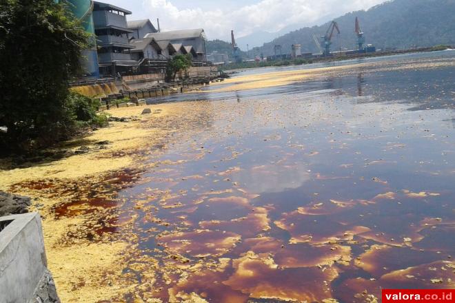 Proses Sandar Kapal Mulai Terganggu: Tumpahan CPO Meluas hingga Pelabuhan Telukbayur