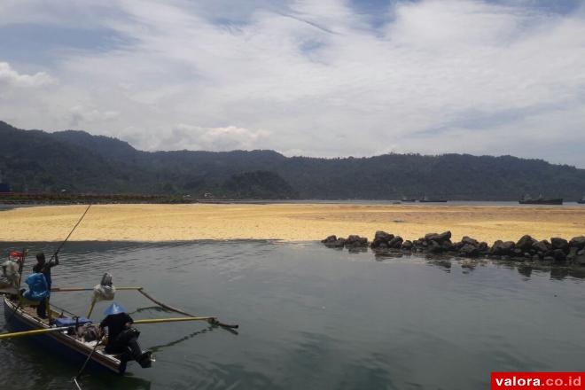 Pemko Akan Seret Pencemar Laut Telukbayur ke Ranah Hukum