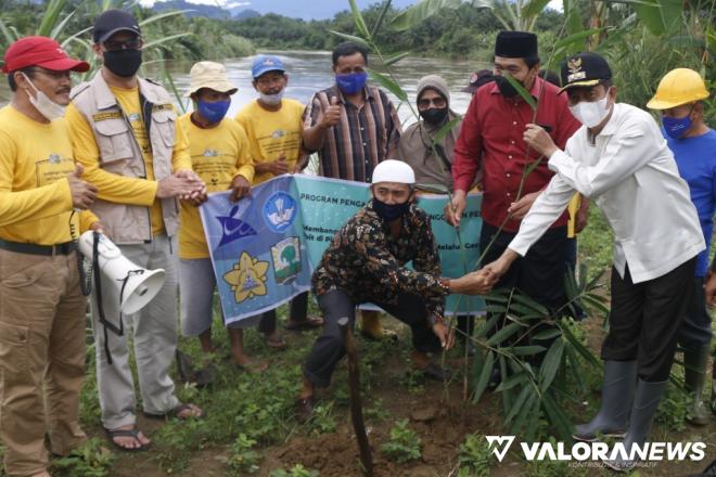 1500 Bibit Bambu Ditanam untuk Atasi Dampak Luapan Batang Pasaman