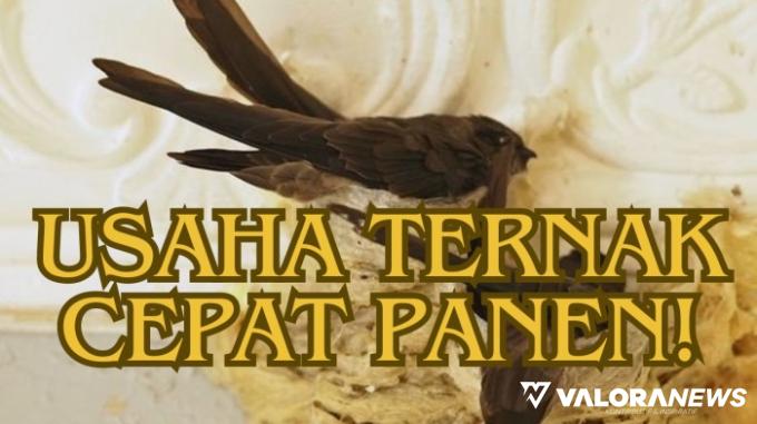 3 Ide Usaha Ternak Cepat Panen, Nomor 2 bisa Untung Rp400 Juta Sebulan!