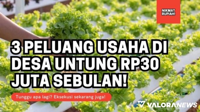 3 Peluang Usaha di Desa Tahun 2024 Untung Rp30 Juta Sebulan!