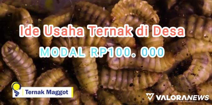 4 Ide Usaha Ternak di Desa, Modal Rp100 Ribu Saja, Pemula Buruan Merapat!