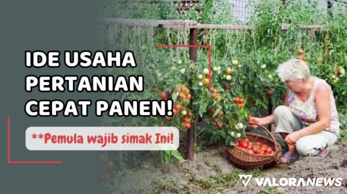 4 Peluang Usaha Bertani Cepat Panen, Sebulan Cuan Jutaan Rupiah!