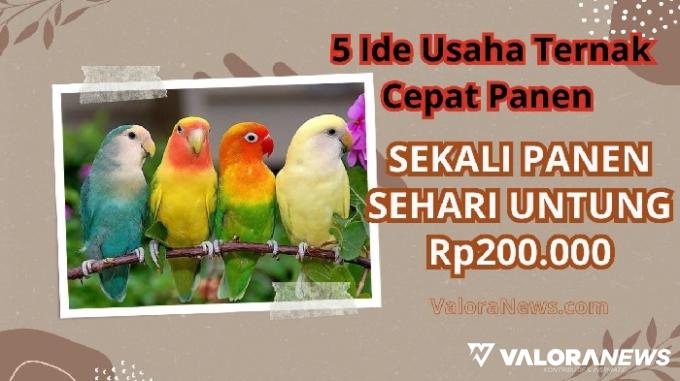 Hobi Beternak! Cobain 5 Ide Usaha Ini, Sehari Untung Rp200 Ribu!