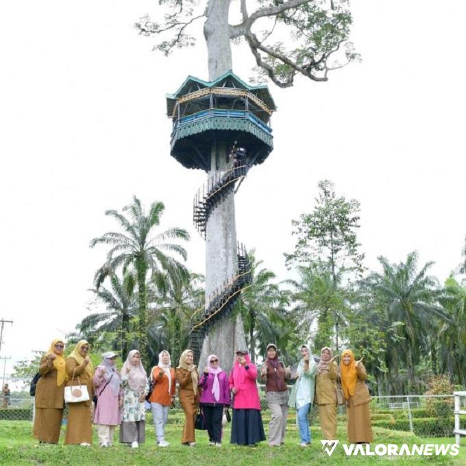 Ada Rumah Pohon Setinggi 18 Meter di IV Nagari, Sayangnya Tak Terbuka untuk Publik