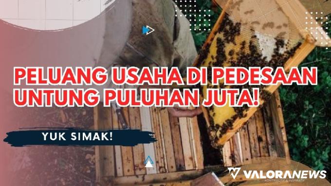 Balik Kampung Malah Cuan Puluhan Juta Sebulan, Emang Bisa? Ini Peluang Usahanya