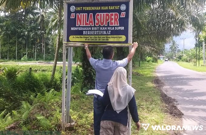 Bapenda Sisir Pelaku Usaha di Lubuk Basung, Target; Pendataan dan Penagihan Pajak Daerah