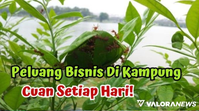 Bertahan Hingga Anak-Cucu, 3 Ide Bisnis di Kampung Ini bisa Cuan Setiap Hari!