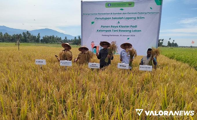 BI Targetkan Petani di 19 Kabupaten Kota di Sumbar Tuntas Gelar SLI Sepanjang Tahun 2024